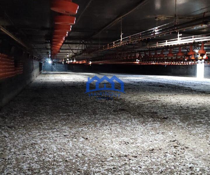Sitio/Fazenda à Venda, granja com 12 alqueires por R$ 8.000.000 Cód. ch2292