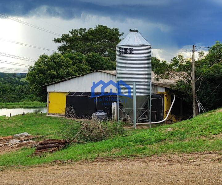 Sitio/Fazenda à Venda, granja com 12 alqueires por R$ 8.000.000 Cód. ch2292