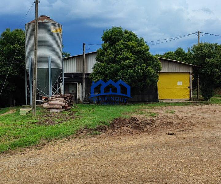Sitio/Fazenda à Venda, granja com 12 alqueires por R$ 8.000.000 Cód. ch2292