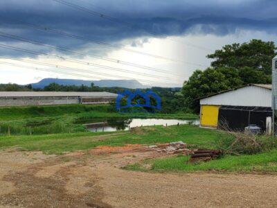 Sitio/Fazenda à Venda, granja com 12 alqueires por R$ 8.000.000 Cód. ch2292
