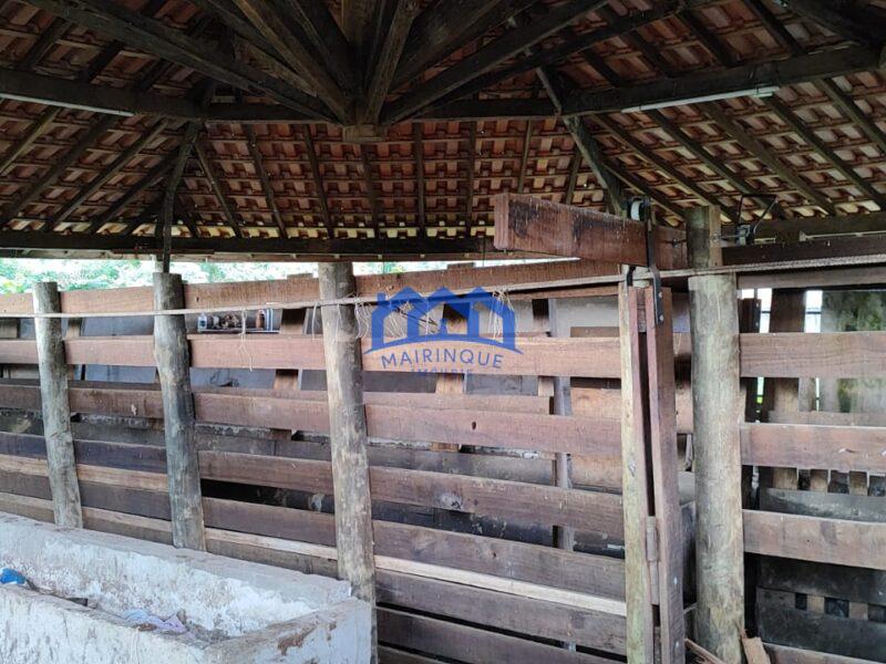 Sitio/Fazenda à Venda, granja com 12 alqueires por R$ 8.000.000 Cód. ch2292
