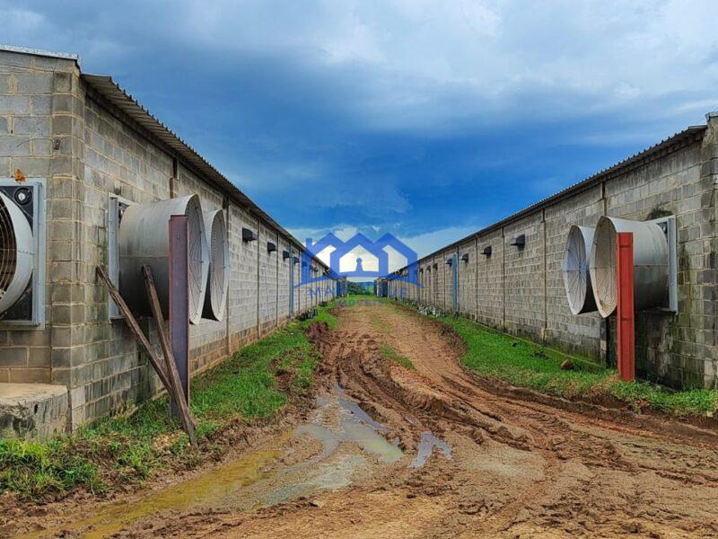 Sitio/Fazenda à Venda, granja com 12 alqueires por R$ 8.000.000 Cód. ch2292