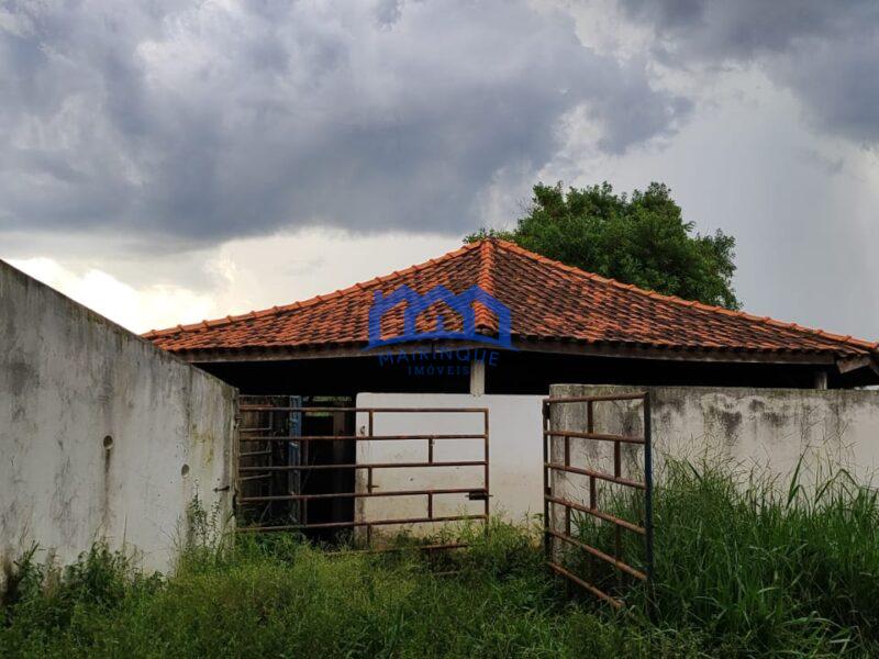 Sitio/Fazenda à Venda, granja com 12 alqueires por R$ 8.000.000 Cód. ch2292