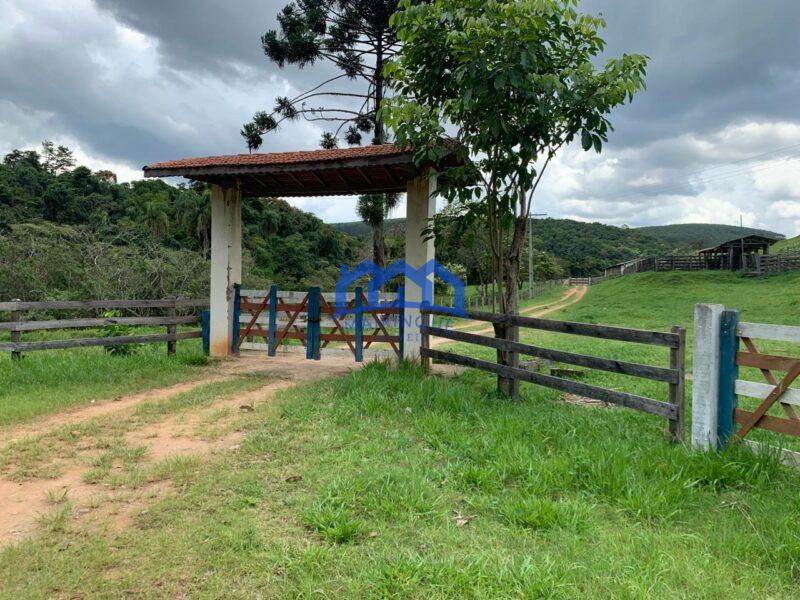 Sitio/Fazenda à Venda, 60 alqueires por R$ 10.000.000 Cód. ch2293