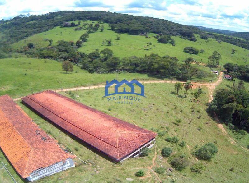 Sitio/Fazenda à Venda, 60 alqueires por R$ 10.000.000 Cód. ch2293