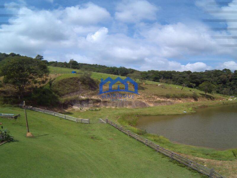 Sitio/Fazenda à Venda, 60 alqueires por R$ 10.000.000 Cód. ch2293