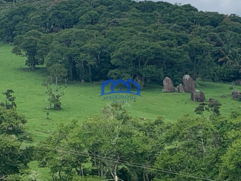 Sitio/Fazenda à Venda, 60 alqueires por R$ 10.000.000 Cód. ch2293