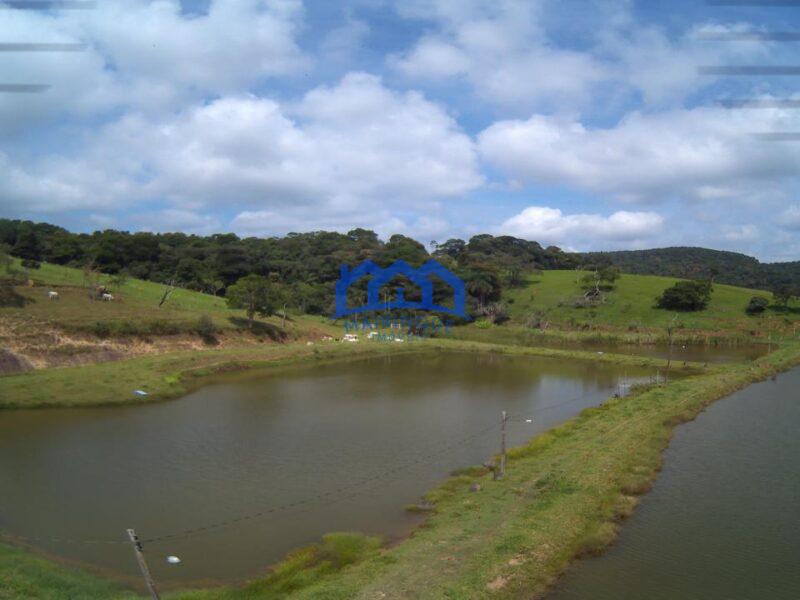 Sitio/Fazenda à Venda, 60 alqueires por R$ 10.000.000 Cód. ch2293
