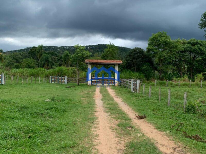 Sitio/Fazenda à Venda, 60 alqueires por R$ 10.000.000 Cód. ch2293