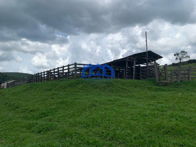 Sitio/Fazenda à Venda, 60 alqueires por R$ 10.000.000 Cód. ch2293