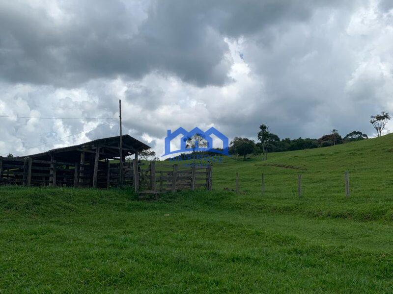 Sitio/Fazenda à Venda, 60 alqueires por R$ 10.000.000 Cód. ch2293