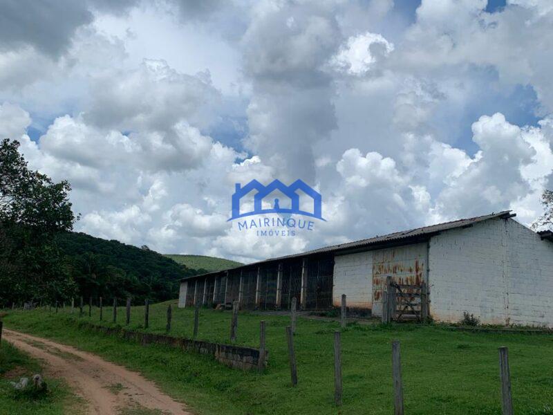 Sitio/Fazenda à Venda, 60 alqueires por R$ 10.000.000 Cód. ch2293
