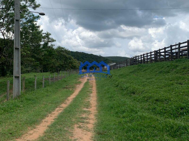 Sitio/Fazenda à Venda, 60 alqueires por R$ 10.000.000 Cód. ch2293