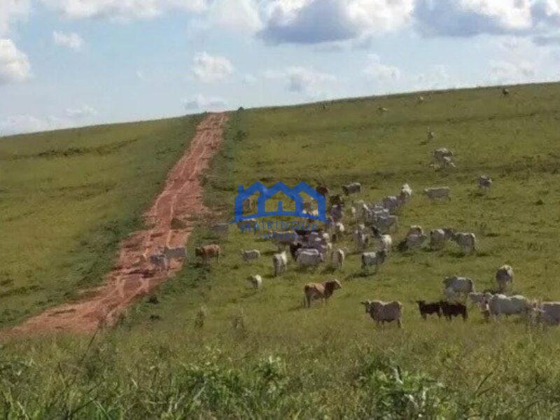 Sitio/Fazenda à Venda, 100 alqueires por R$ 11.000.000 Cód. ch2296