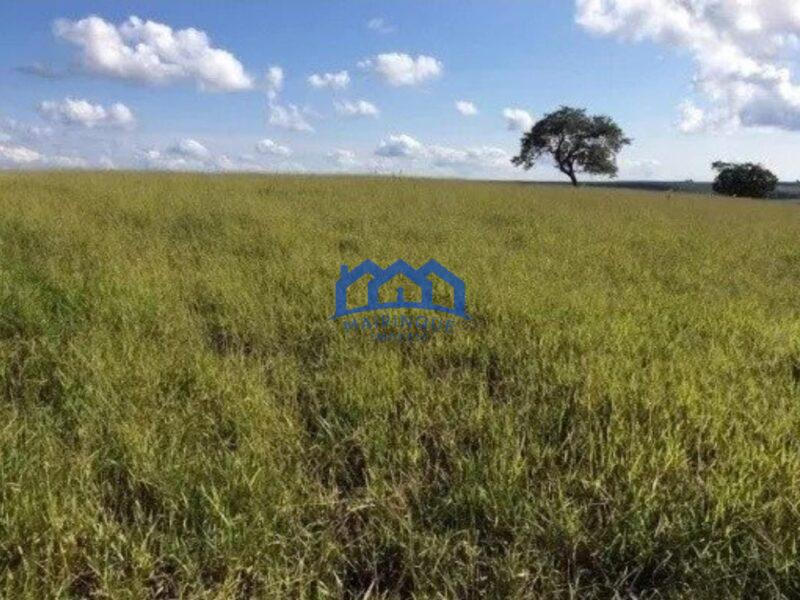 Sitio/Fazenda à Venda, 100 alqueires por R$ 11.000.000 Cód. ch2296