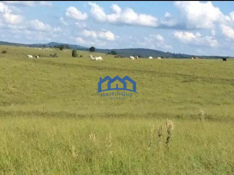 Sitio/Fazenda à Venda, 100 alqueires por R$ 11.000.000 Cód. ch2296