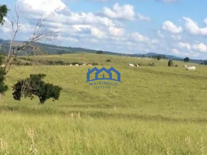 Sitio/Fazenda à Venda, 100 alqueires por R$ 11.000.000 Cód. ch2296