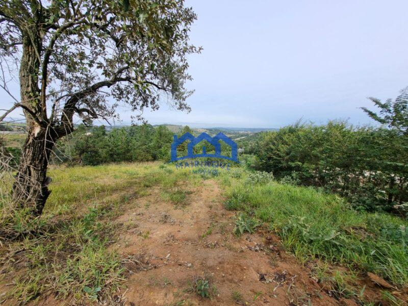 Lote/Terreno á Venda, 1.000 m² por R$ 160.000 Cód. ch2298
