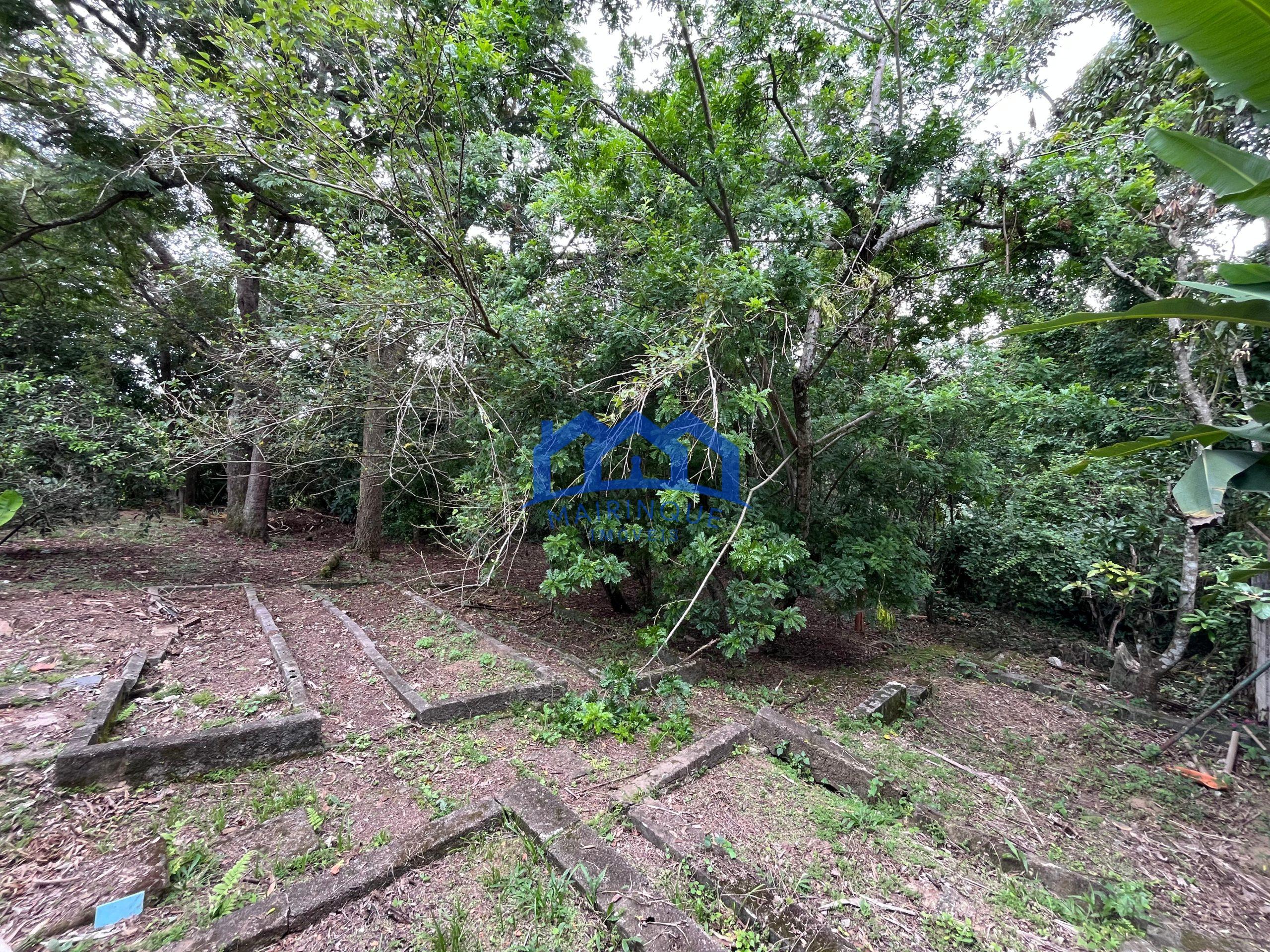 WhatsApp Image 2026-01-05 at 10.34.30 (3)