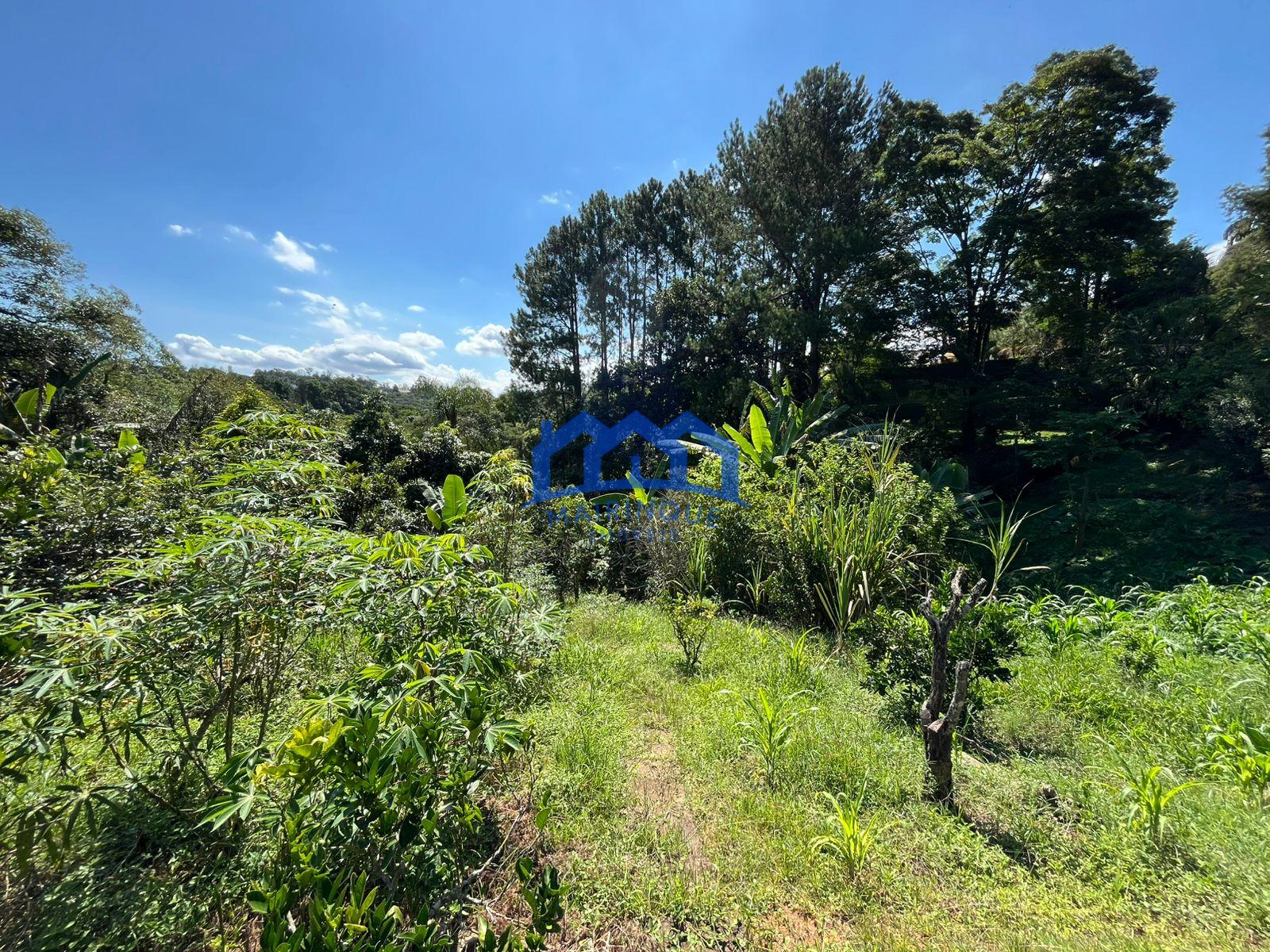 WhatsApp Image 2026-01-05 at 12.47.21