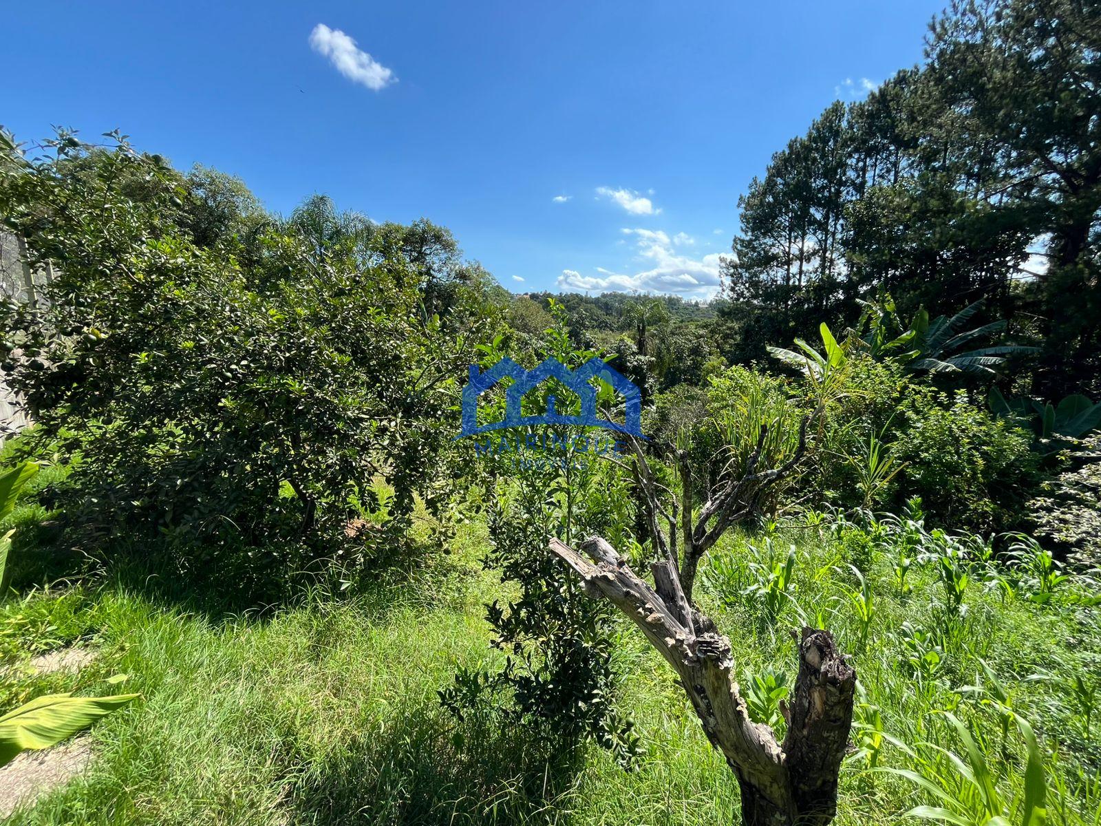 WhatsApp Image 2026-01-05 at 12.47.24