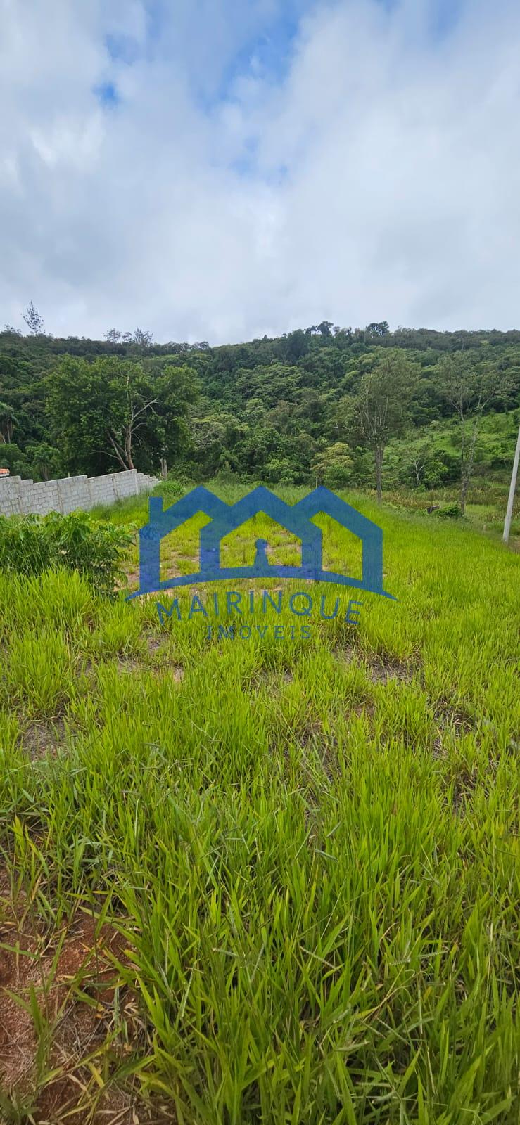 WhatsApp Image 2026-01-05 at 14.27.57