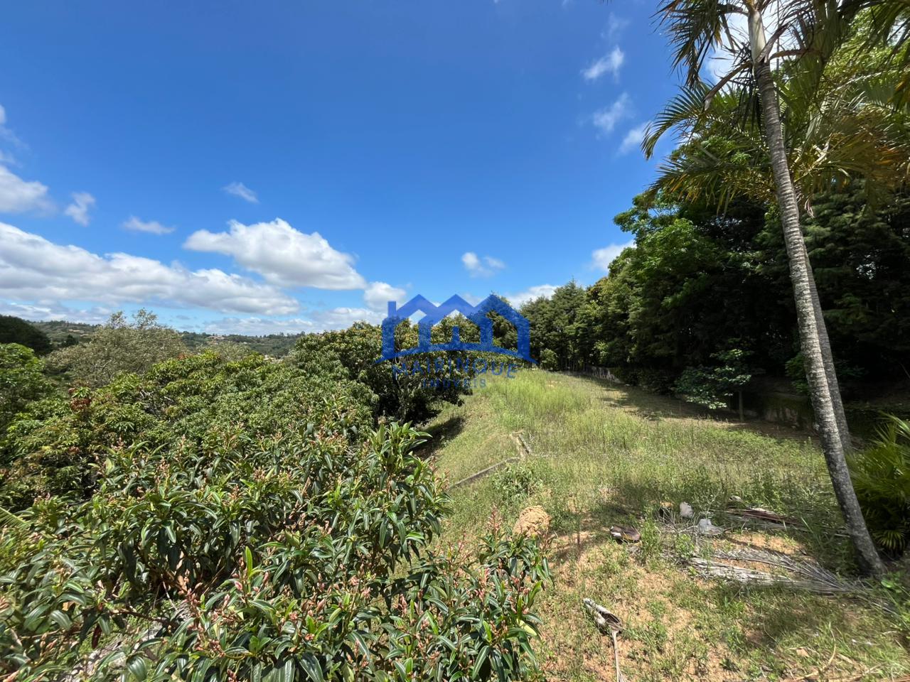 WhatsApp Image 2026-01-05 at 16.29.23