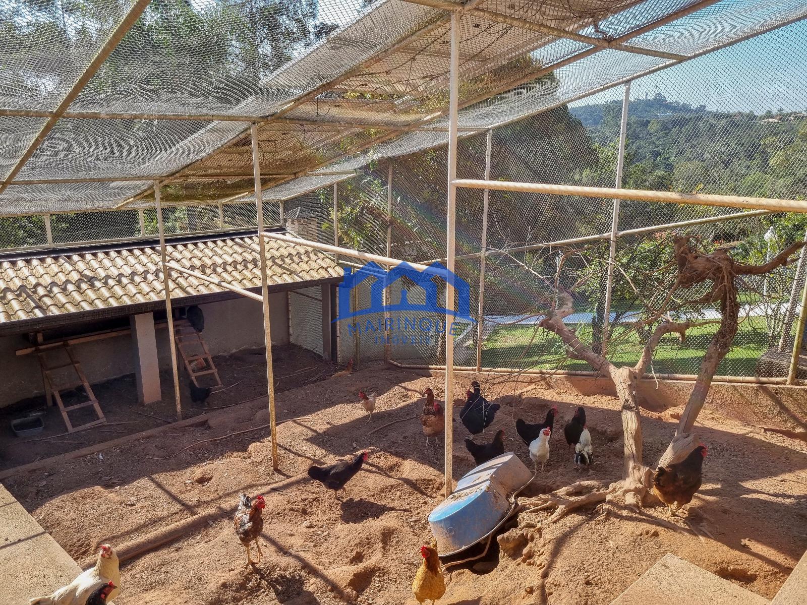 WhatsApp Image 2026-01-06 at 10.58.03