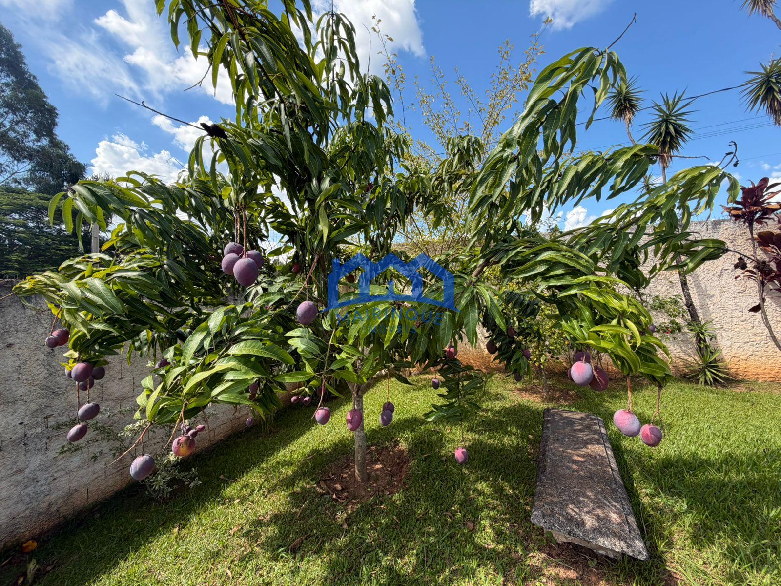 WhatsApp Image 2026-01-13 at 09.43.24