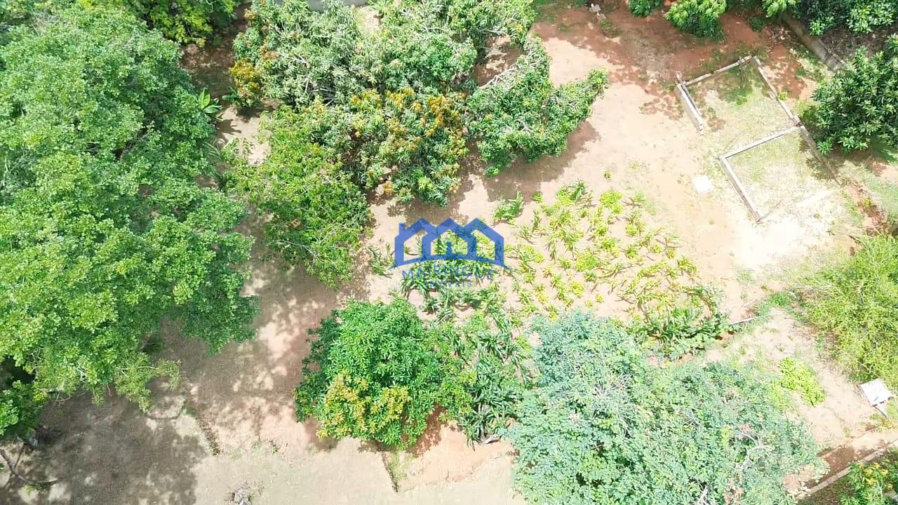 WhatsApp Image 2026-01-13 at 14.45.19 (1)