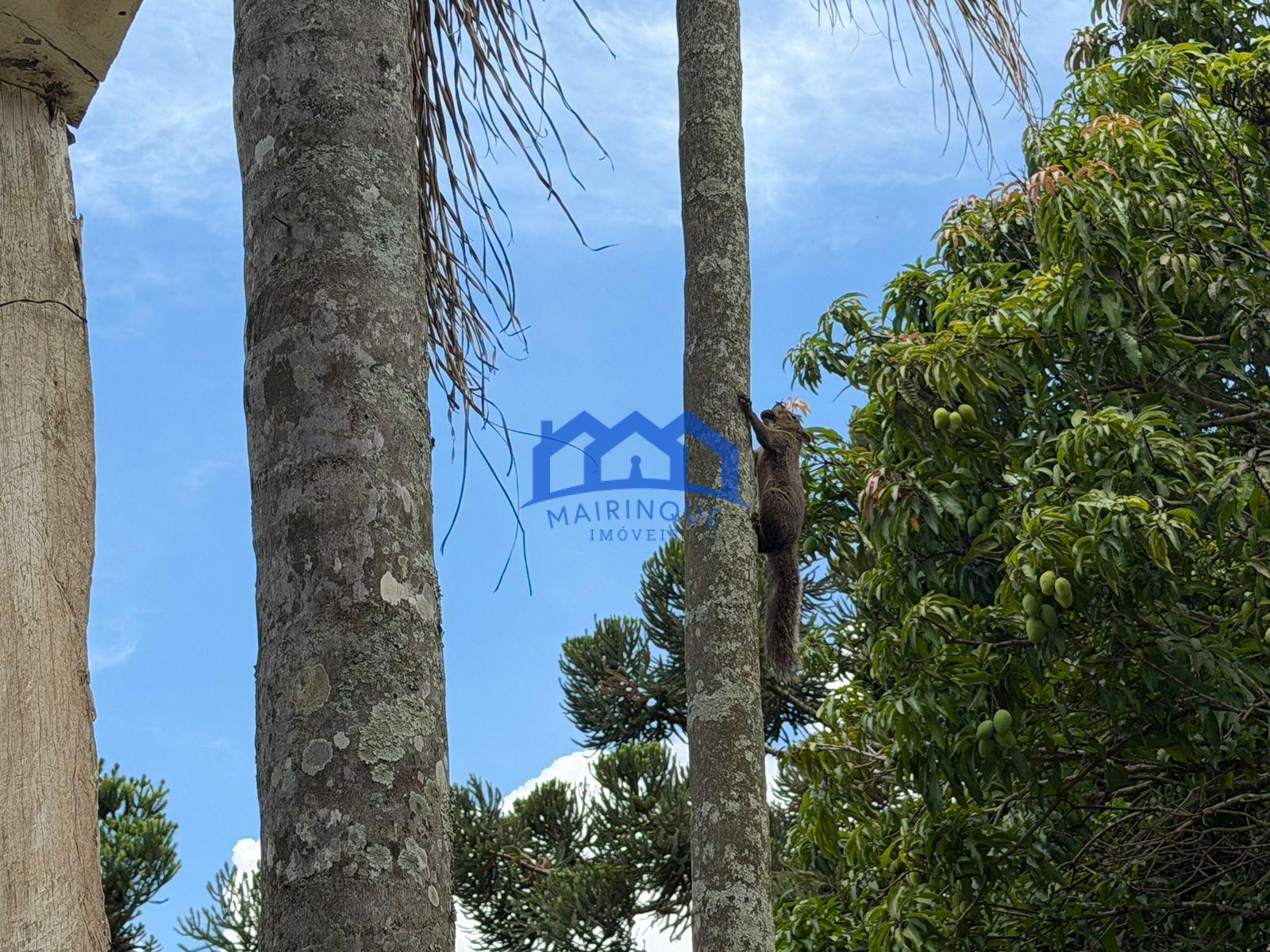 WhatsApp Image 2026-01-13 at 14.45.46 (1)