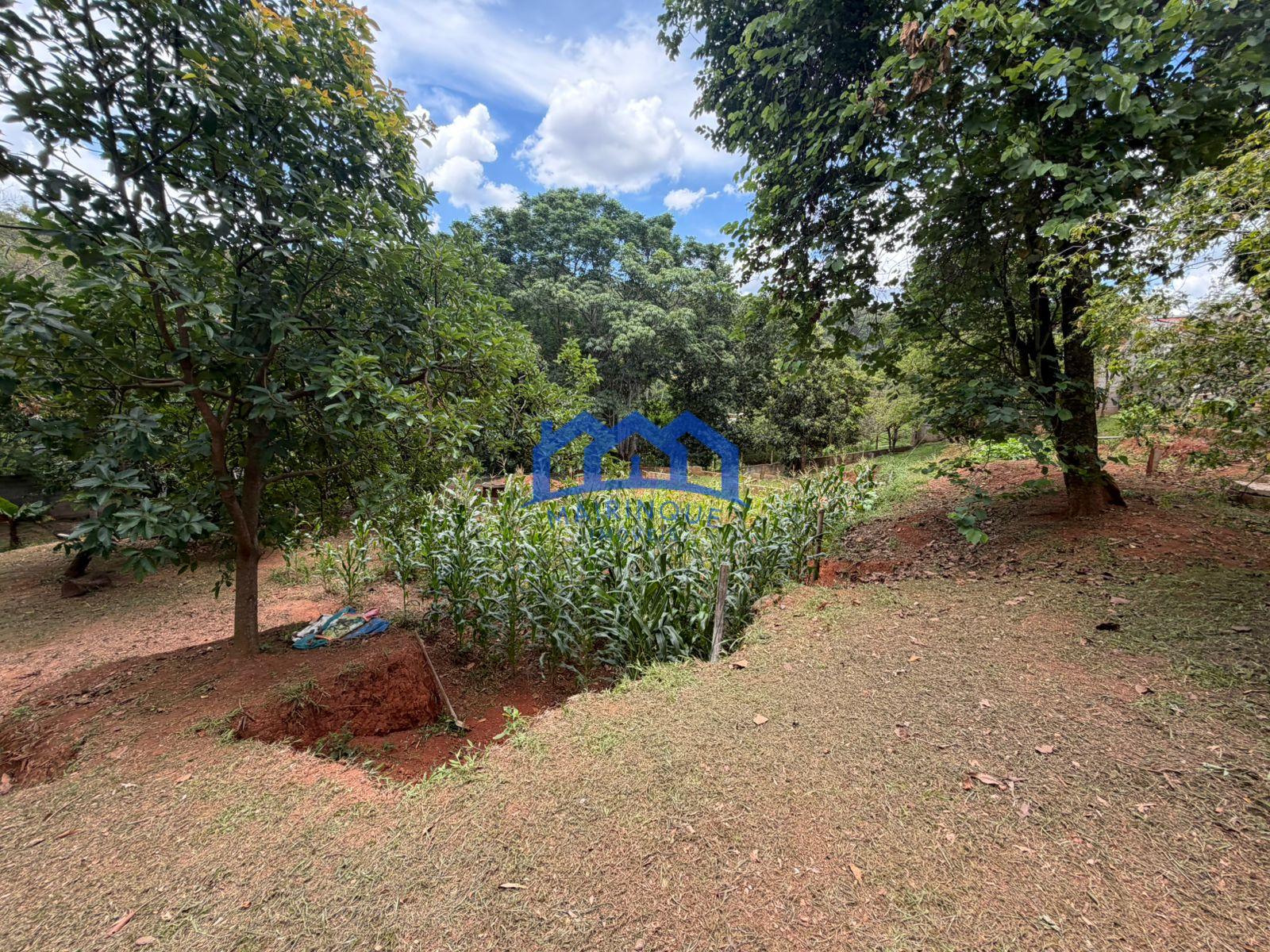 WhatsApp Image 2026-01-13 at 14.45.47 (1)