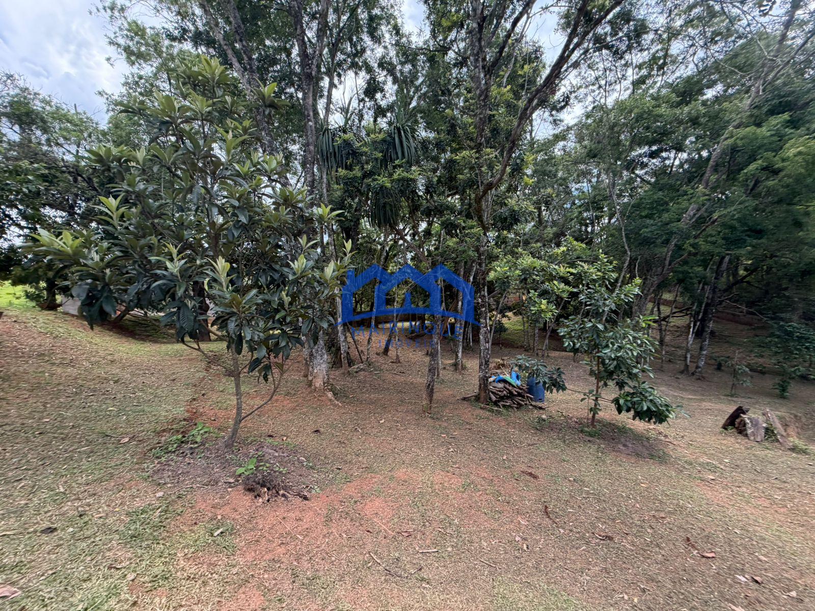 WhatsApp Image 2026-01-13 at 14.45.47