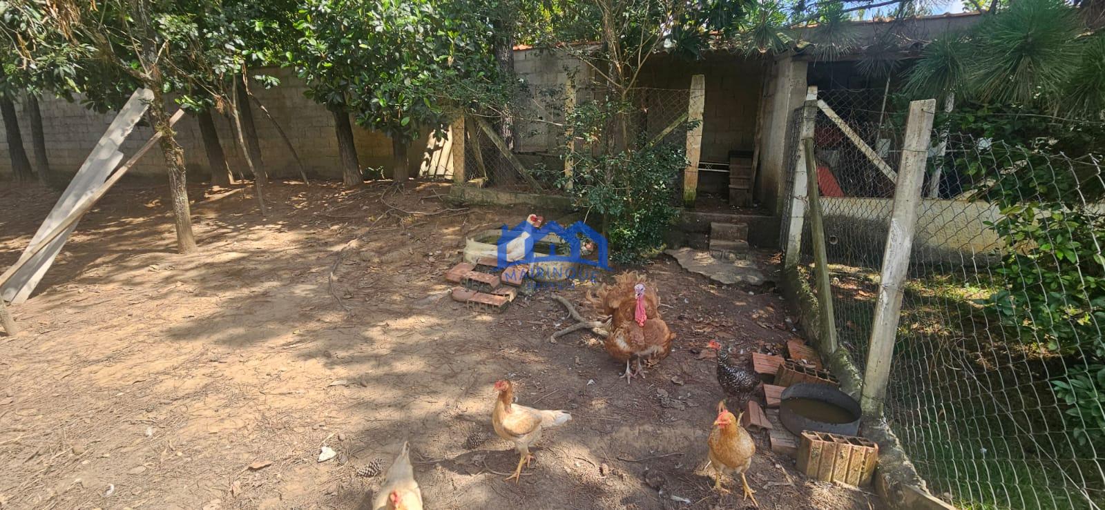 WhatsApp Image 2026-01-13 at 14.51.10