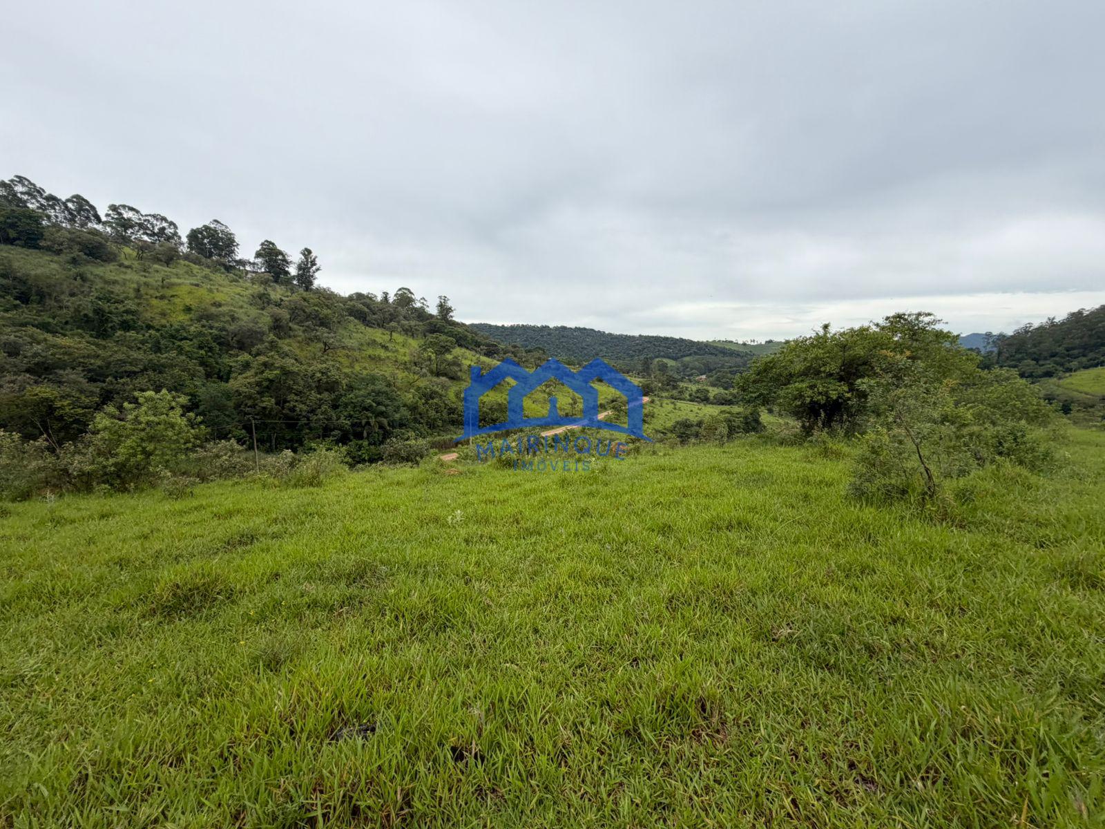 WhatsApp Image 2026-01-13 at 15.18.58