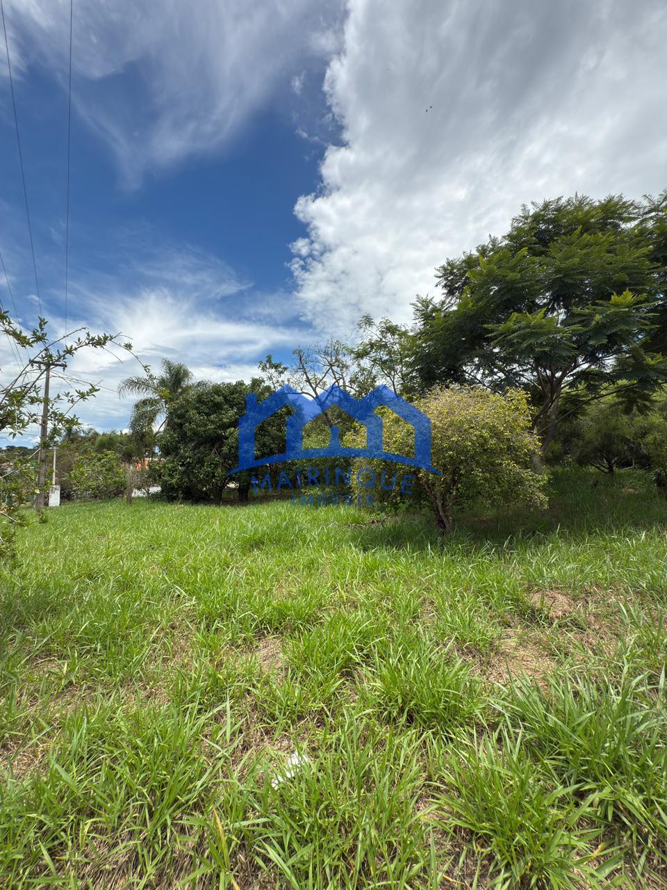 WhatsApp Image 2026-01-19 at 10.55.18 (1)