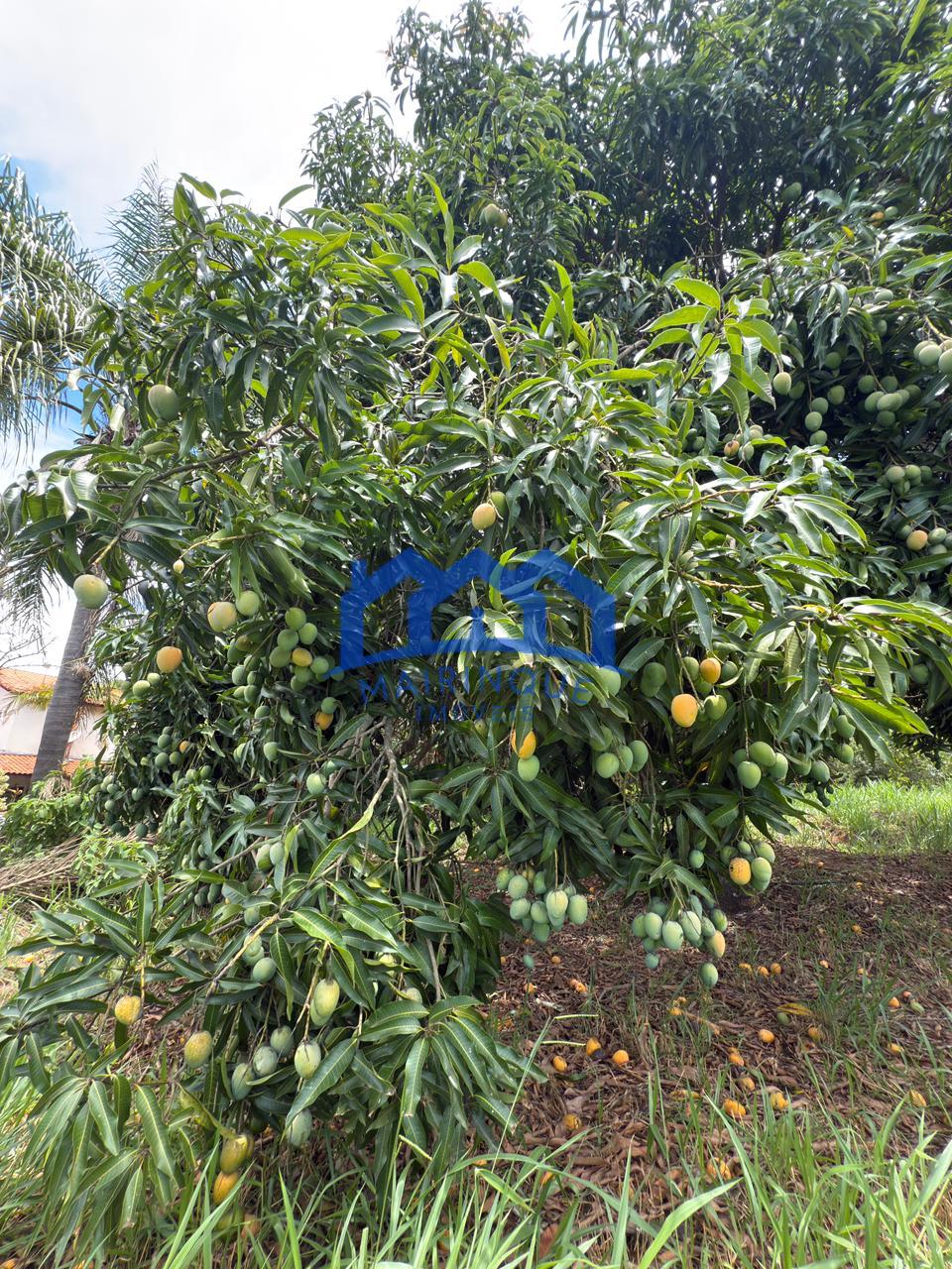 WhatsApp Image 2026-01-19 at 10.55.18