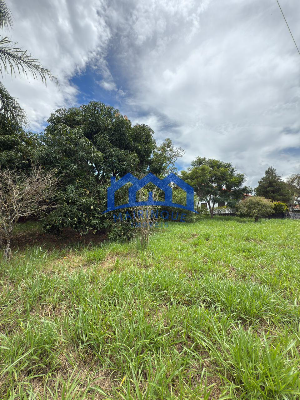 WhatsApp Image 2026-01-19 at 10.55.19 (1)