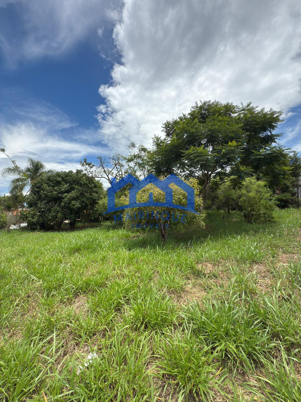 WhatsApp Image 2026-01-19 at 10.55.19