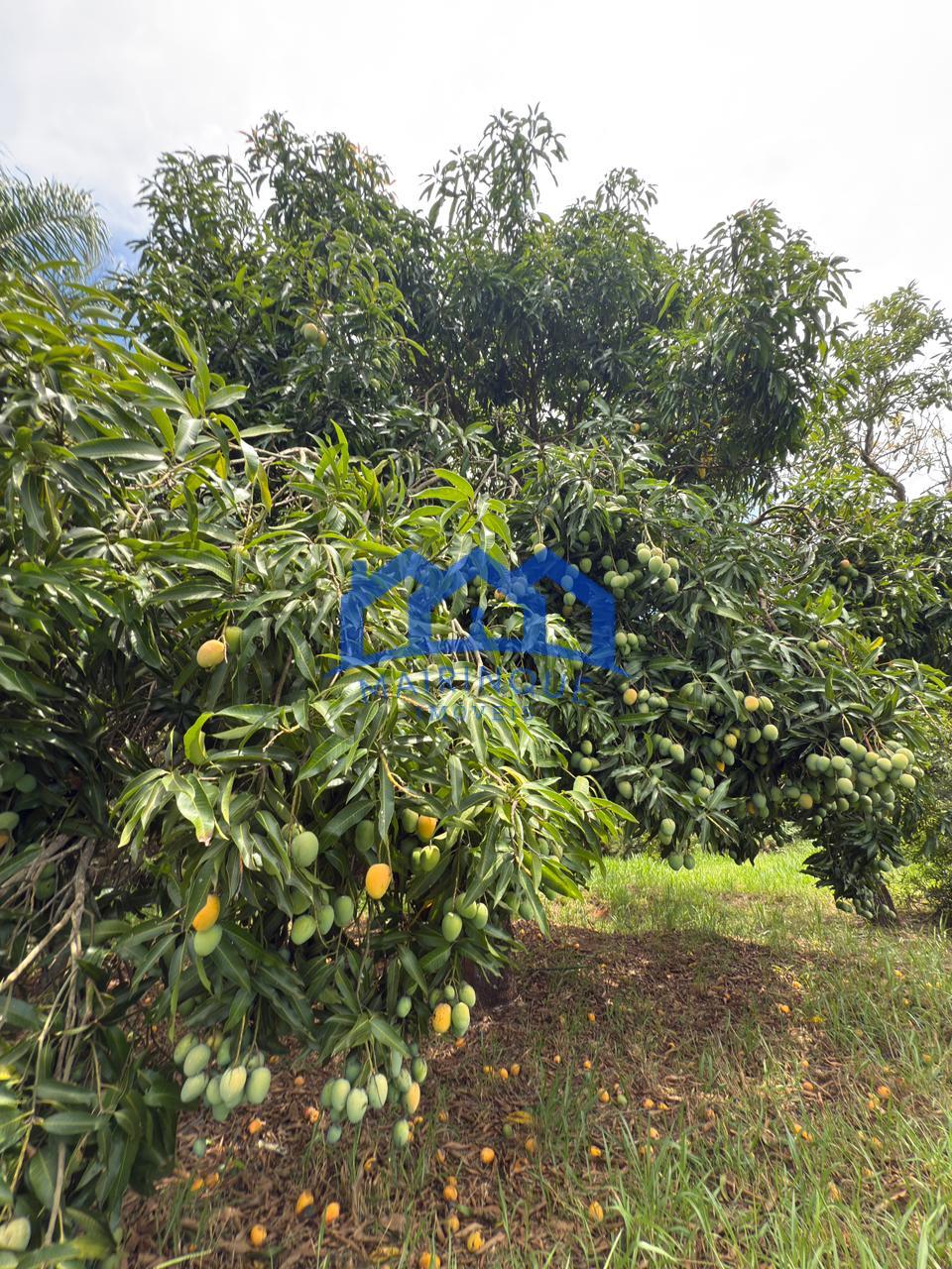 WhatsApp Image 2026-01-19 at 10.55.21 (1)