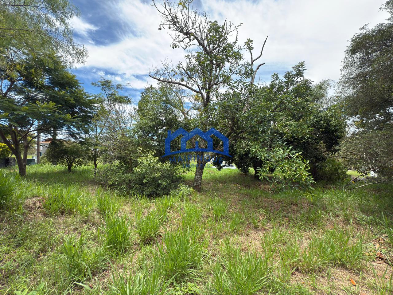 WhatsApp Image 2026-01-19 at 10.55.21