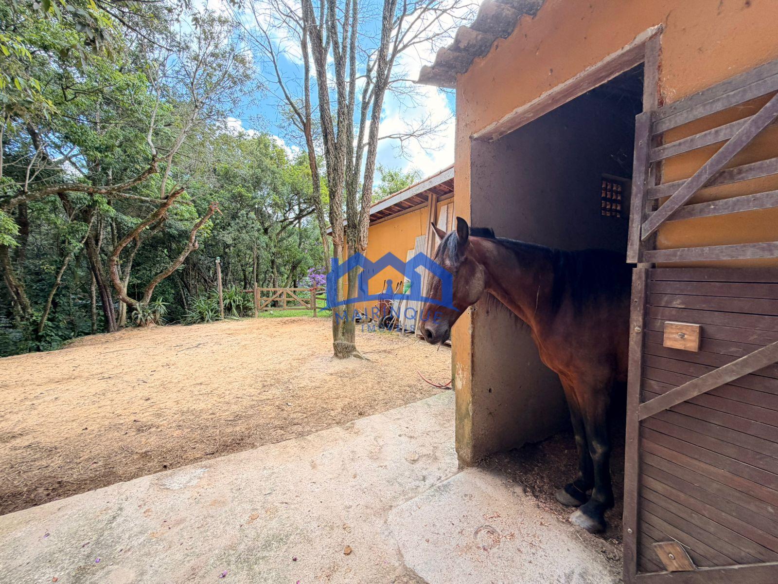 WhatsApp Image 2026-01-27 at 13.20.43 (2)