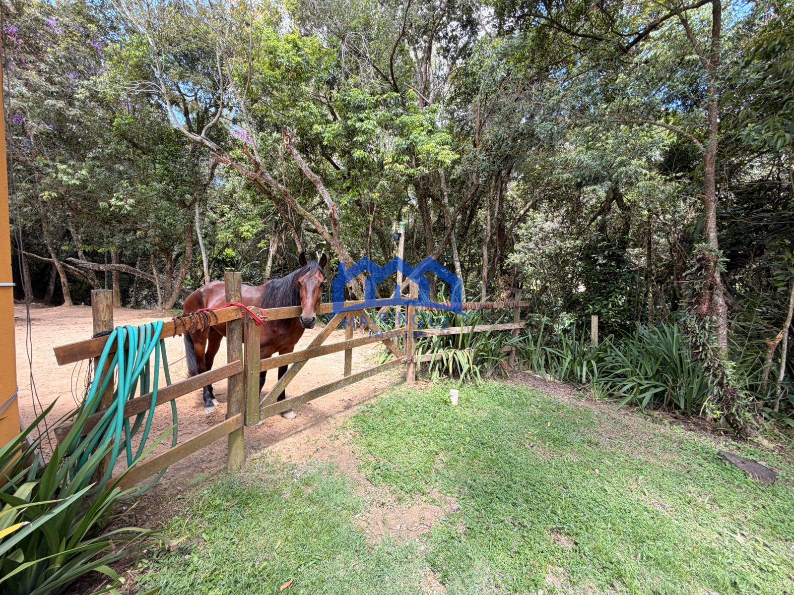 WhatsApp Image 2026-01-27 at 13.20.43