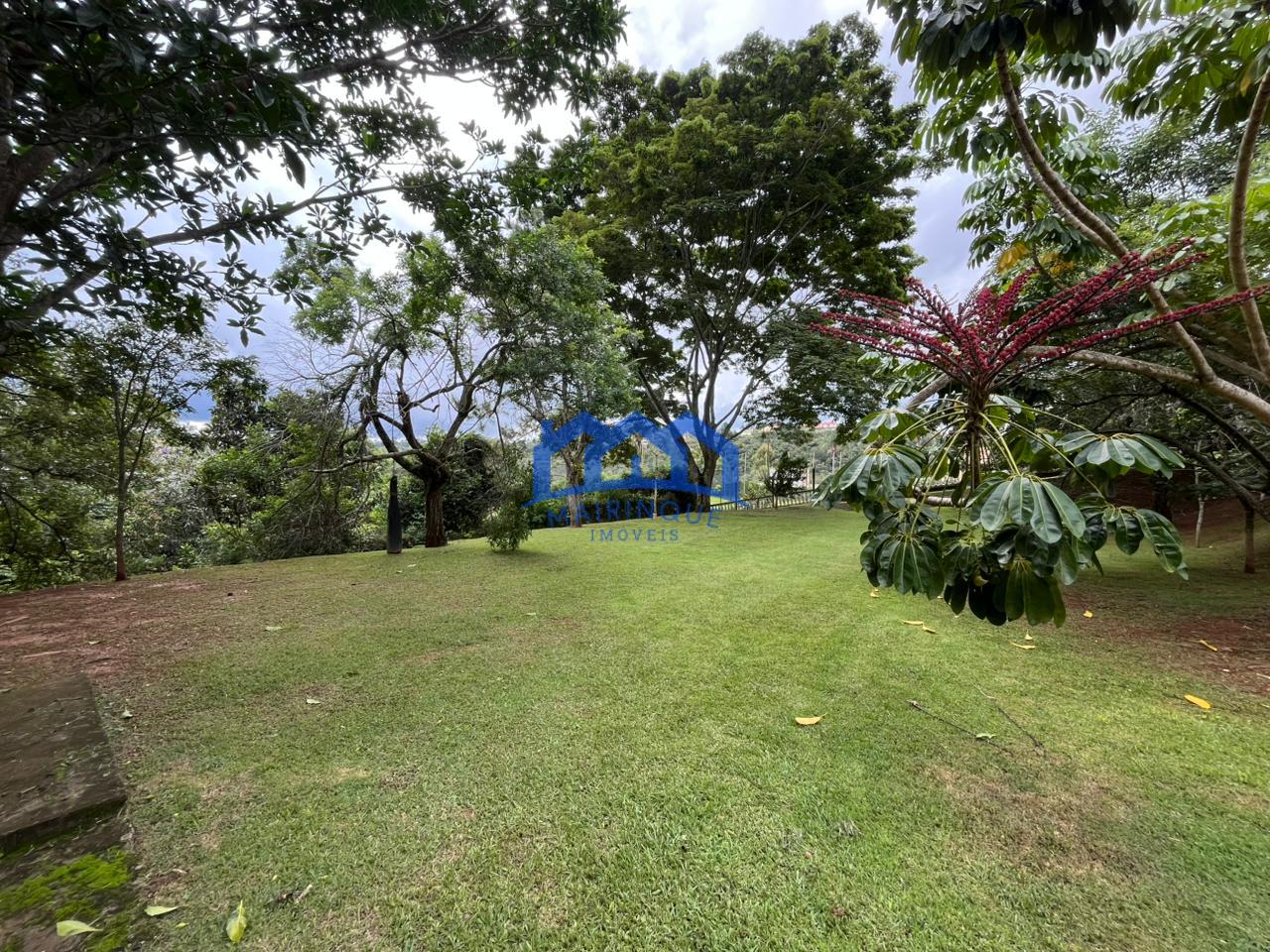 WhatsApp Image 2026-02-04 at 15.36.35 (2)