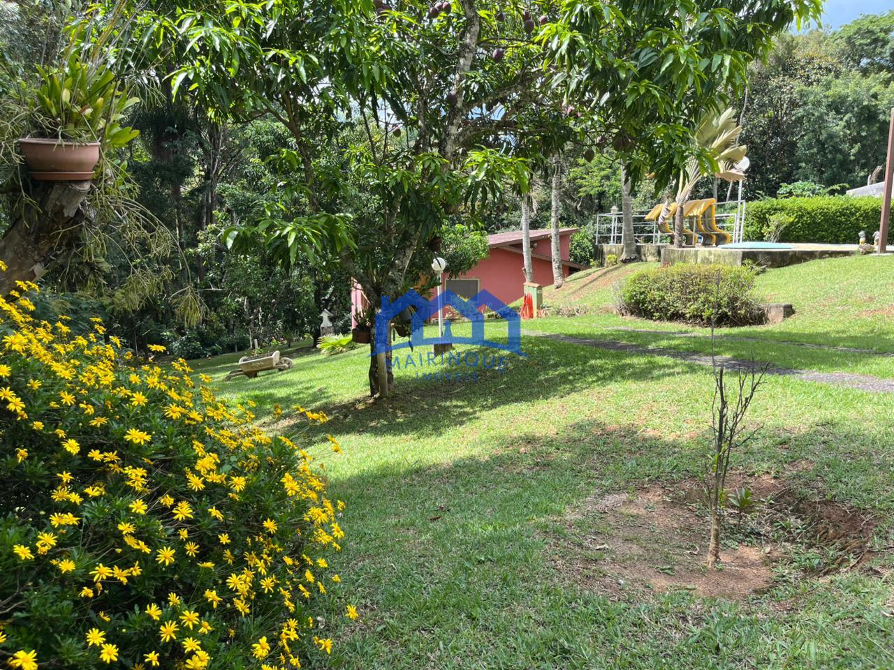 WhatsApp Image 2026-02-05 at 15.35.49 (1)