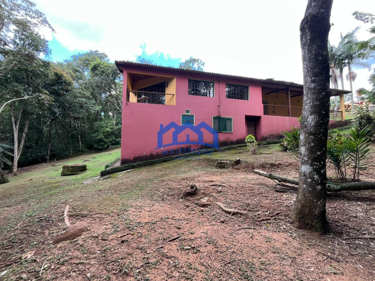 WhatsApp Image 2026-02-05 at 15.36.05