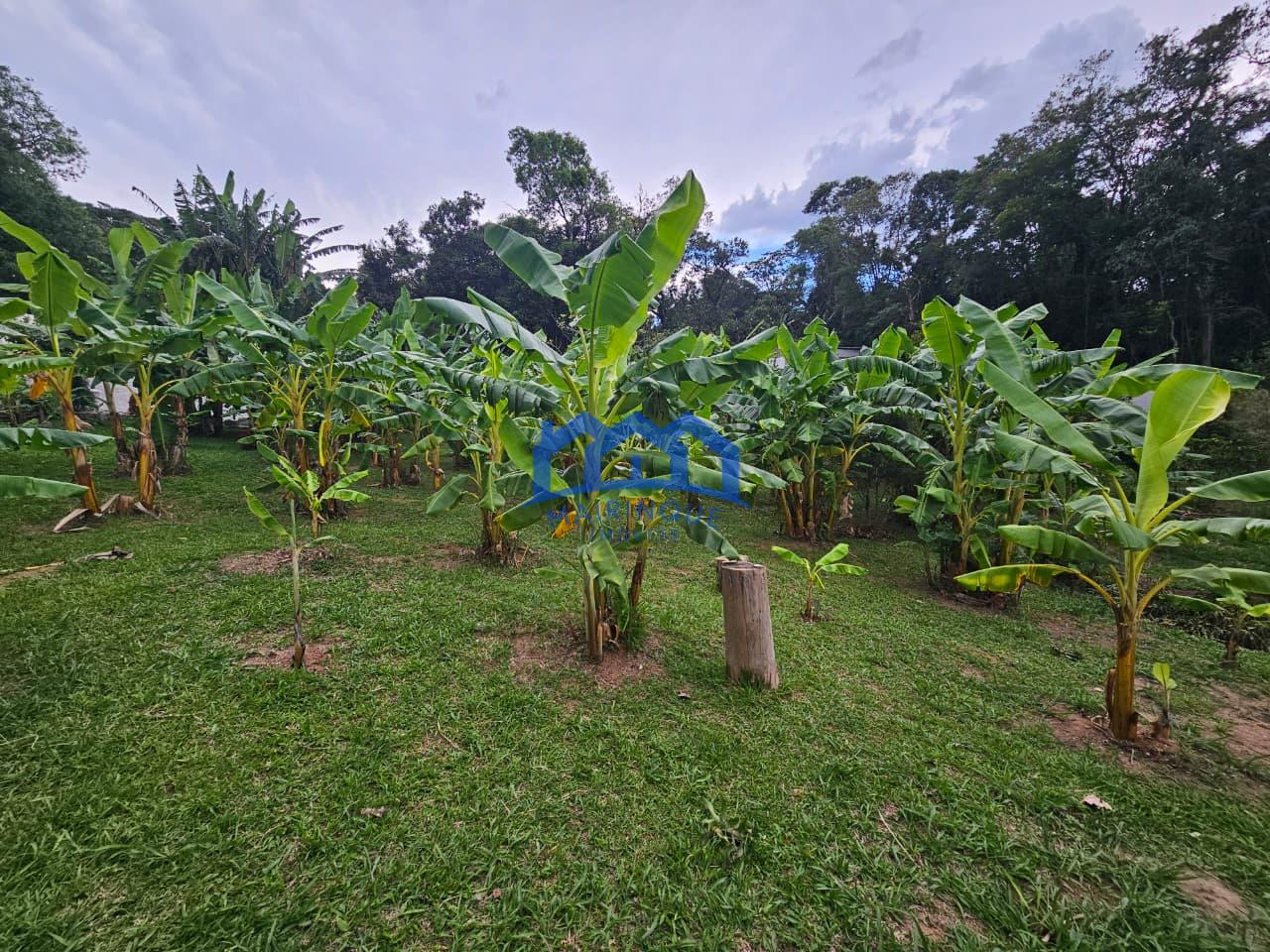 WhatsApp Image 2026-02-13 at 14.24.09