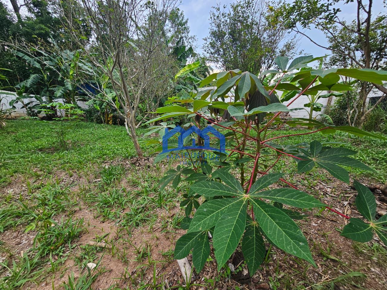 WhatsApp Image 2026-02-13 at 14.24.12