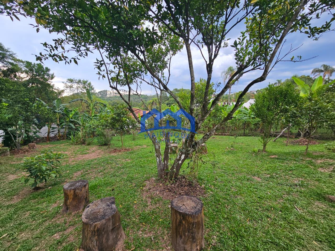 WhatsApp Image 2026-02-13 at 14.24.19