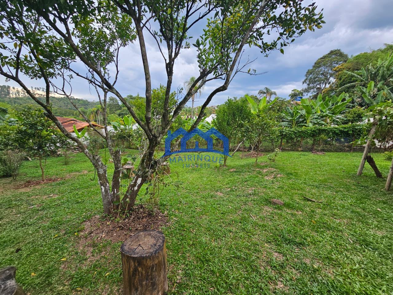 WhatsApp Image 2026-02-13 at 14.24.31